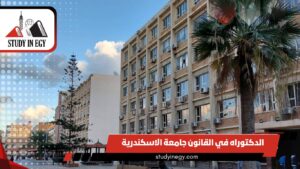 الدكتوراه في القانون جامعة الاسكندرية