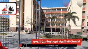 تخصصات الدكتوراه في جامعة عين شمس