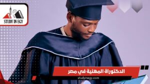 دراسة الدكتوراة المهنية في مصر للوافدين [current_year]