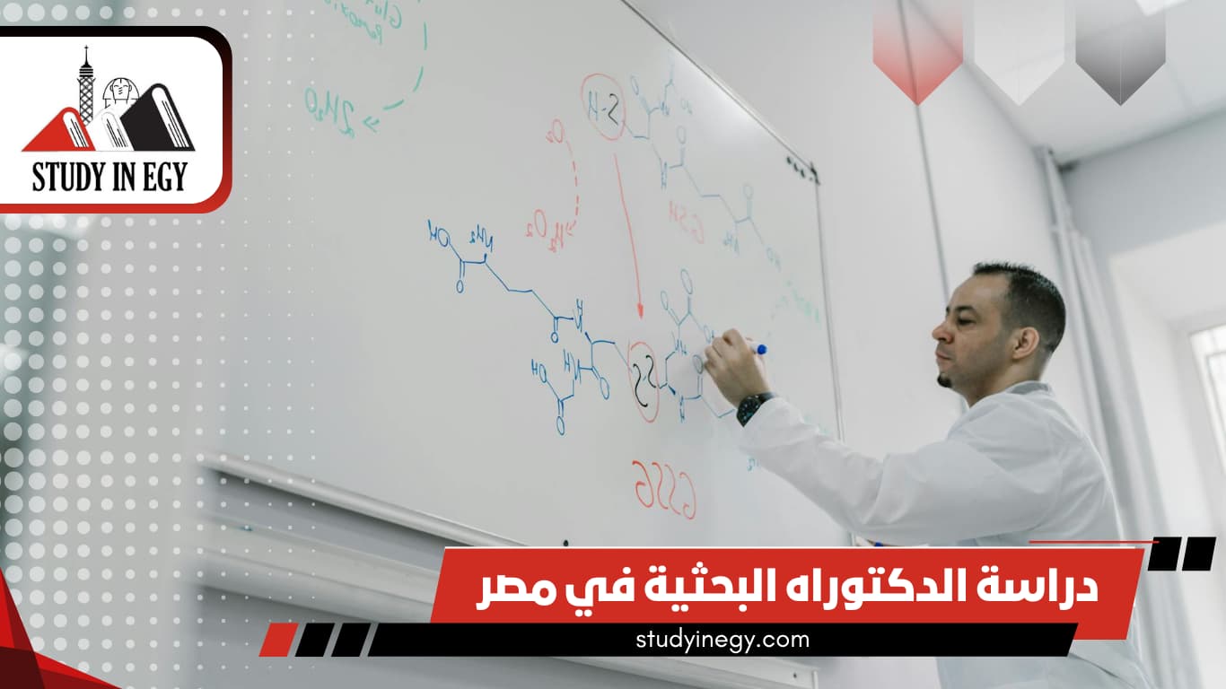 دراسة الدكتوراه البحثية في مصر