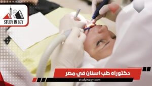 دراسة دكتوراه طب اسنان في مصر للوافدين [current_year]