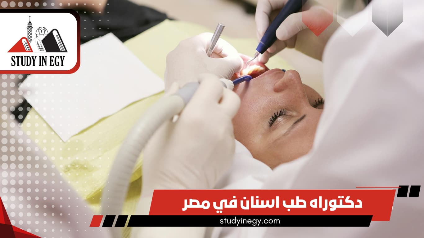 دراسة دكتوراه طب اسنان في مصر للوافدين 2026