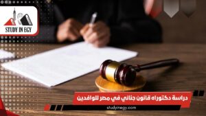 دراسة دكتوراه قانون جنائي في مصر للوافدين