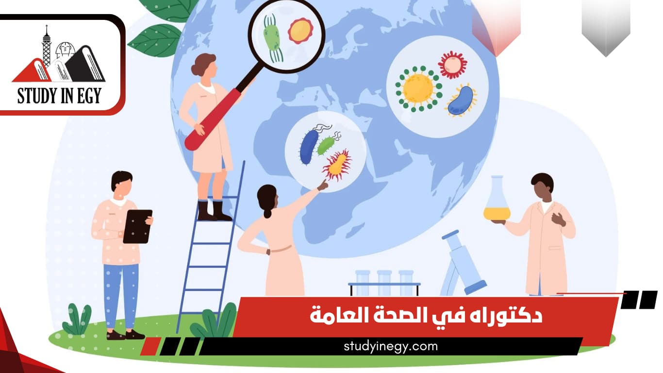 دراسة دكتوراه في الصحة العامة في مصر دراسة دكتوراه في الصحة العامة في مصر