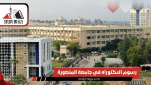 رسوم الدكتوراه في جامعة المنصورة للوافدين [current_year]