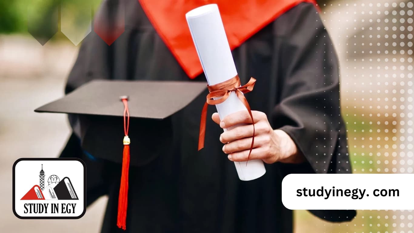 تخصصات الدكتوراه في جامعة المنصورة