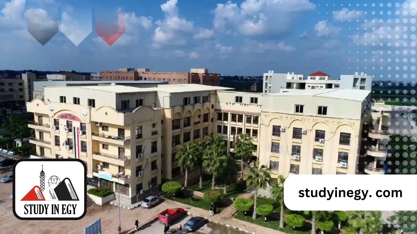 مصاريف الدراسات العليا كلية الحقوق جامعة طنطا