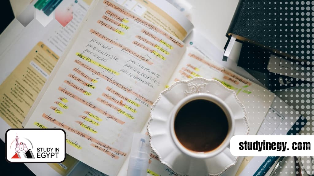 ماجستير الترجمة في مصر