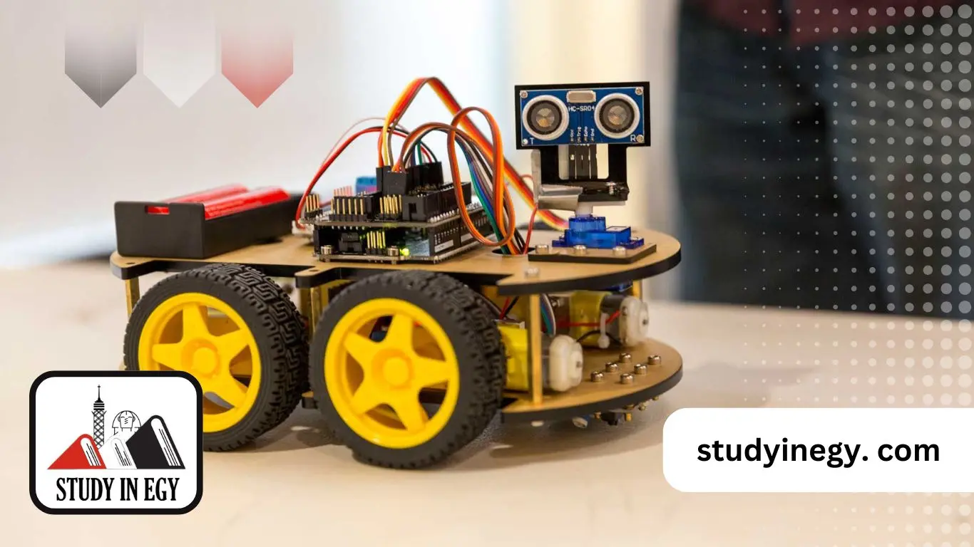 مصاريف هندسة ميكاترونكس جامعة المنصورة