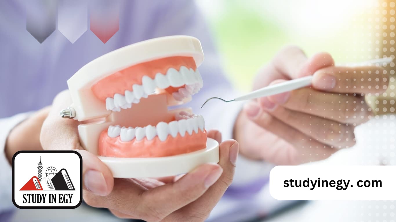 ماجستير طب الأسنان جامعة 6 أكتوبر