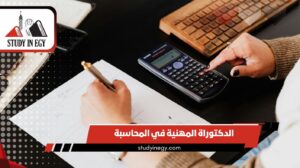 الدكتوراة المهنية في المحاسبة