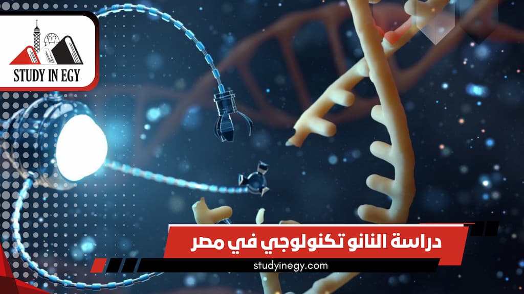 دراسة النانو تكنولوجي في مصر