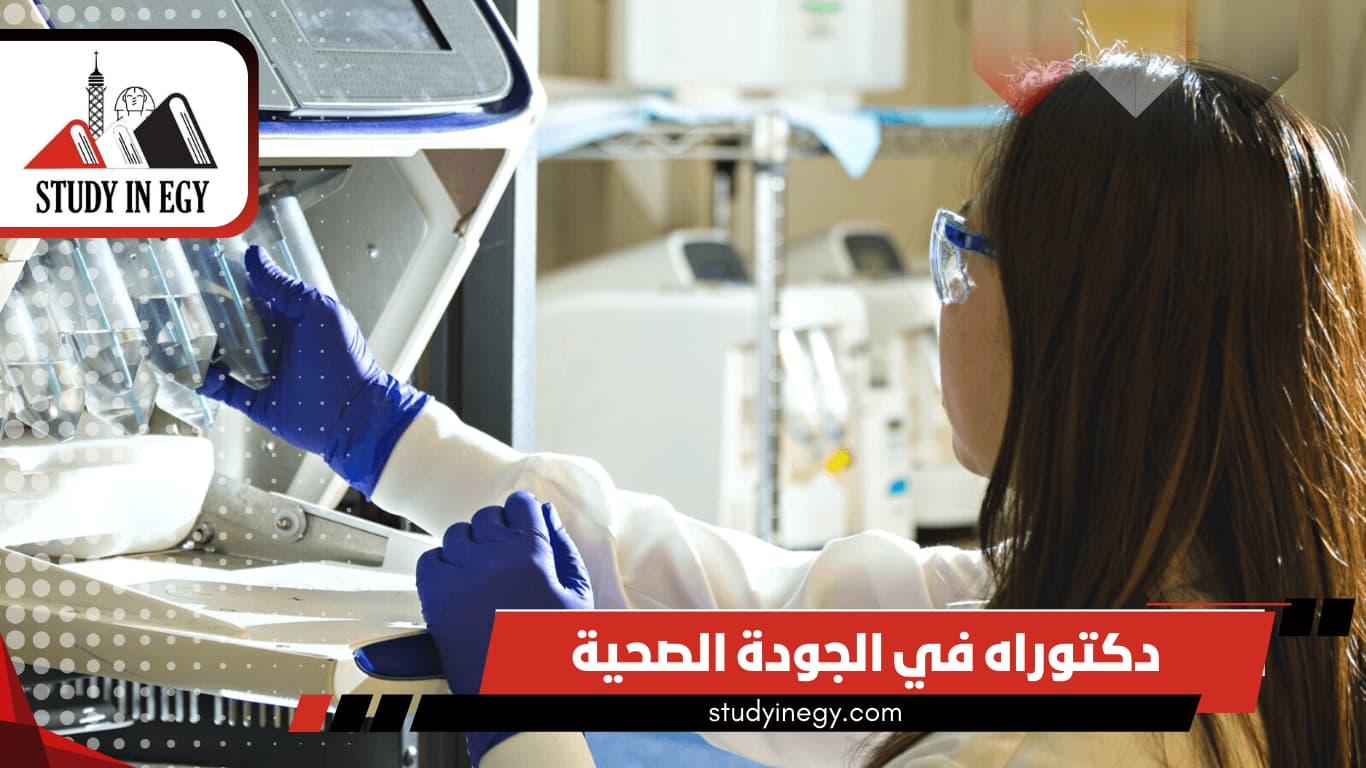 دكتوراه في الجودة الصحية