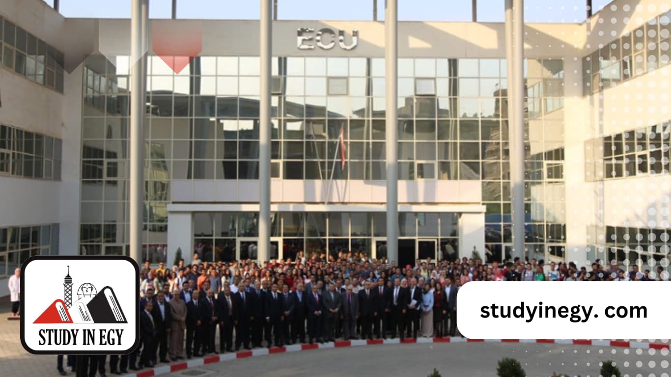 تخصصات الجامعة الصينية في مصر