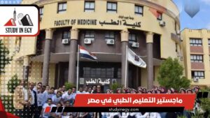 ماجستير التعليم الطبي في مصر