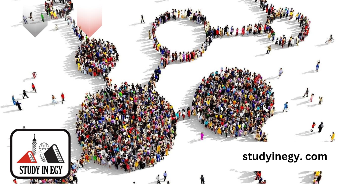 أفضل تخصص ماجستير علم اجتماع