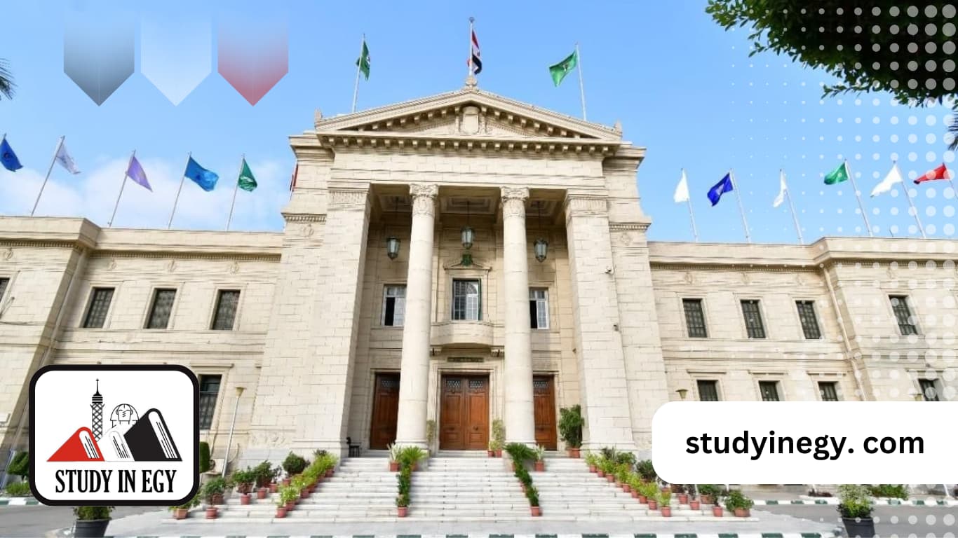 أفضل كليات العلوم في مصر