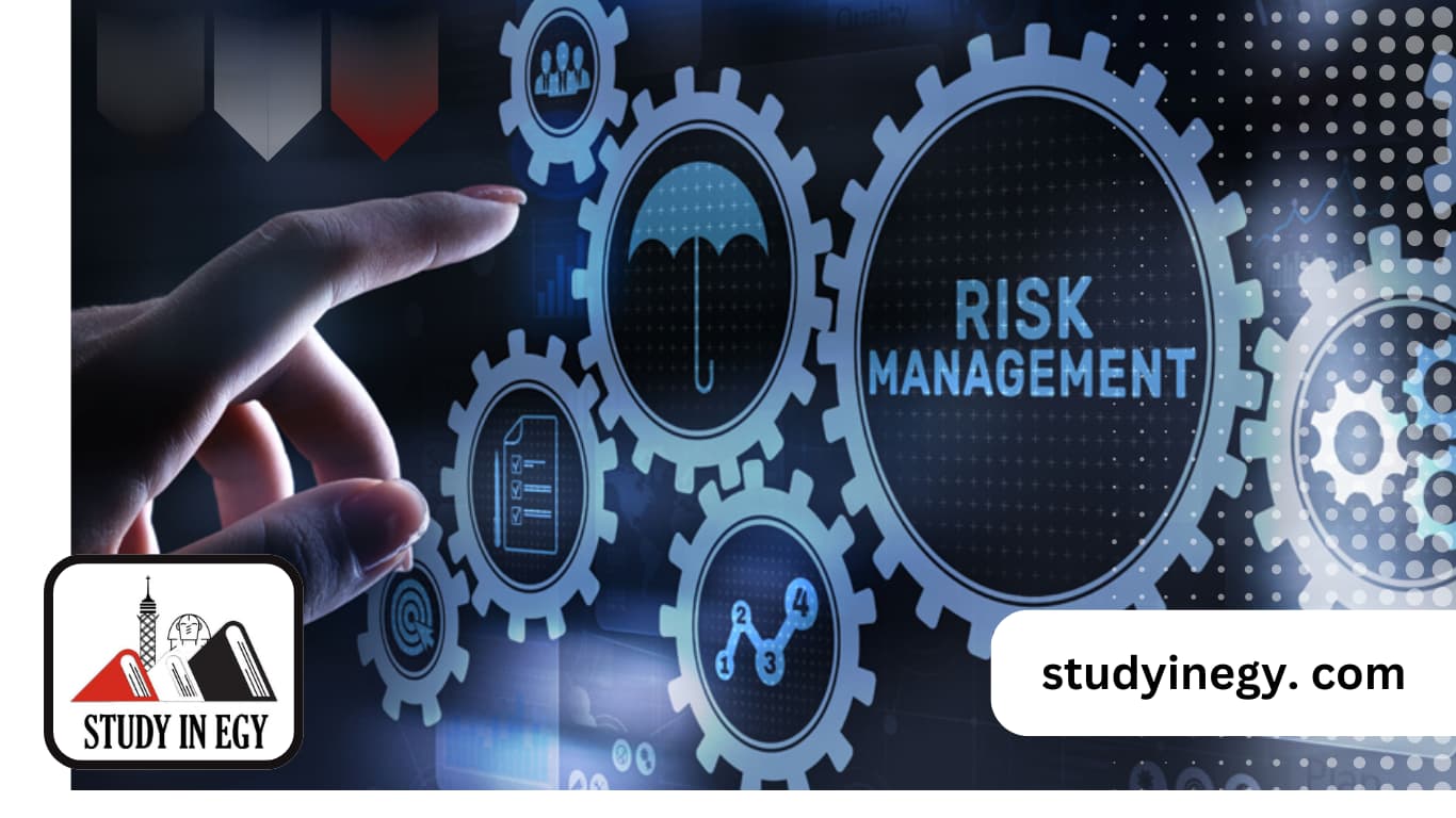 ماجستير تأمين وإدارة مخاطر