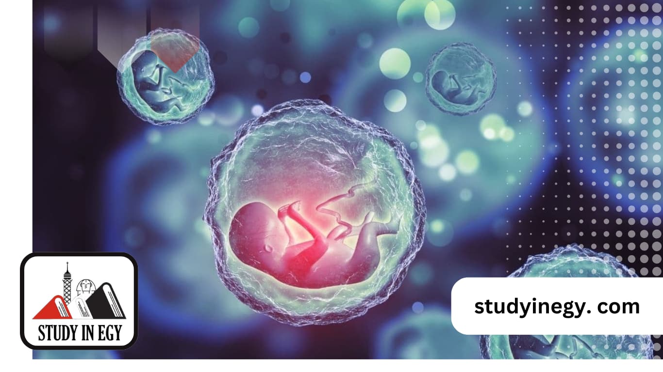 ماجستير علم الأجنة في مصر