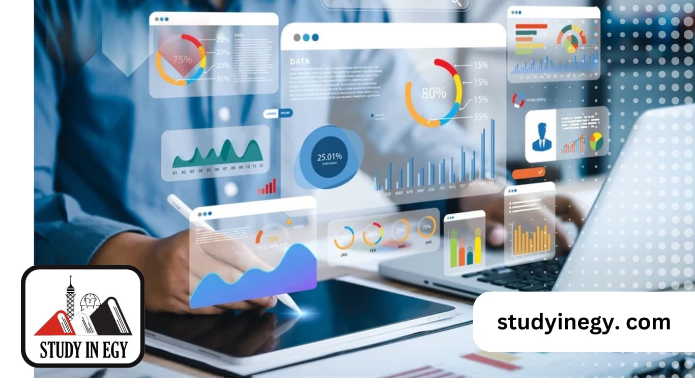 ماجستير علوم البيانات في مصر