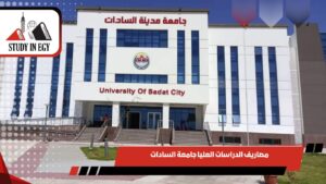 مصاريف الدراسات العليا جامعة السادات
