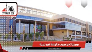 مميزات وعيوب جامعة نيو جيزة