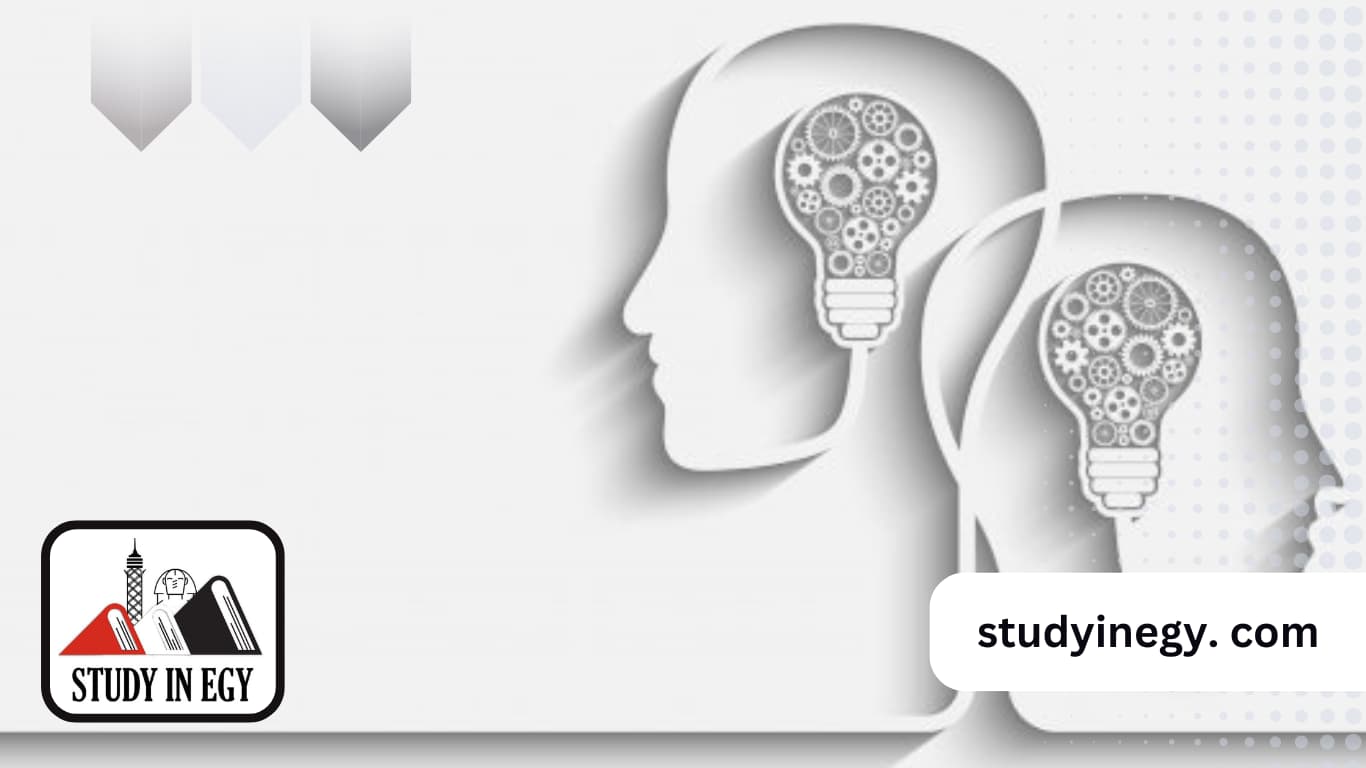 أفضل تخصصات العلوم الإنسانية 