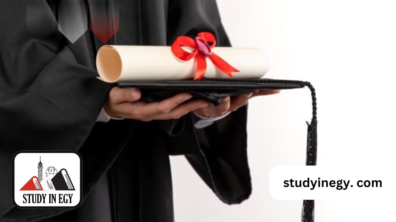 الماجستير المهني بجامعة القاهرة