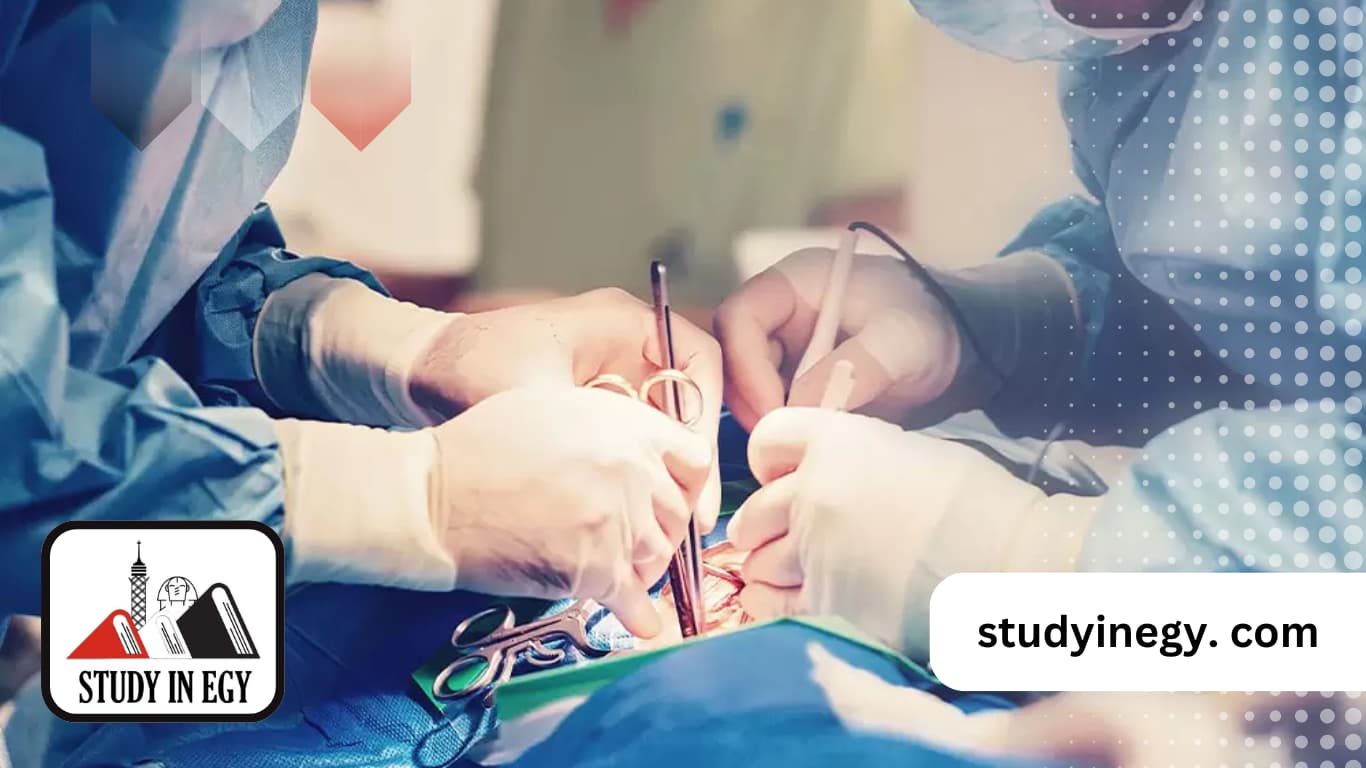 تخصص القلب والاوعية الدموية في مصر