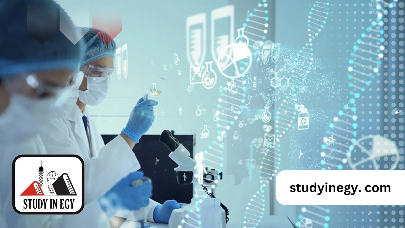 دراسة النانو تكنولوجي في مصر