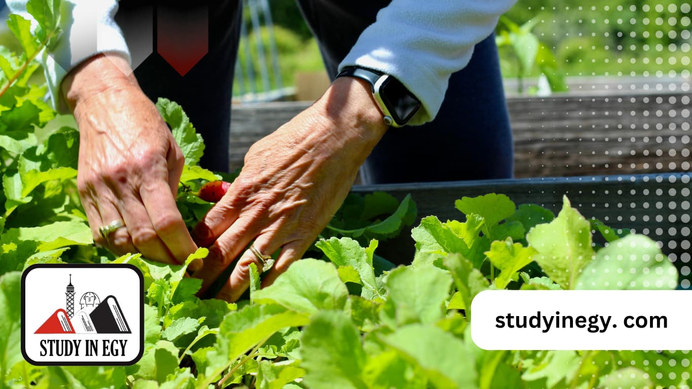 شروط الالتحاق بكلية الهندسة الزراعية