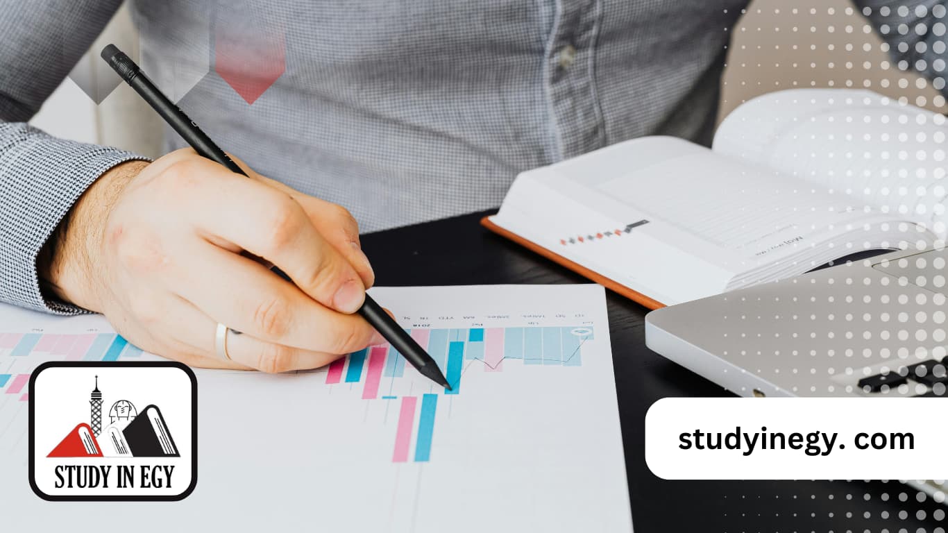 ماجستير ادارة الاعمال جامعة طنطا