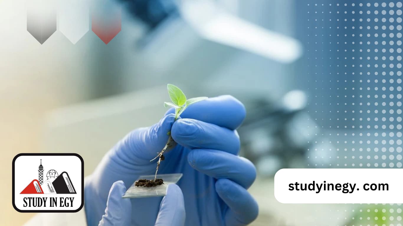 ماجستير كلية الزراعة جامعة عين شمس