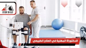 الدكتوراة المهنية في العلاج الطبيعي