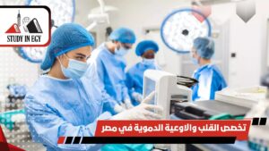 تخصص القلب والاوعية الدموية في مصر