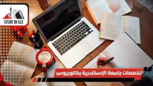 تخصصات جامعة الإسكندرية بكالوريوس