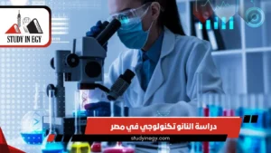 دراسة النانو تكنولوجي في مصر