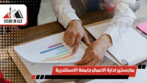 ماجستير ادارة الاعمال جامعة الاسكندرية