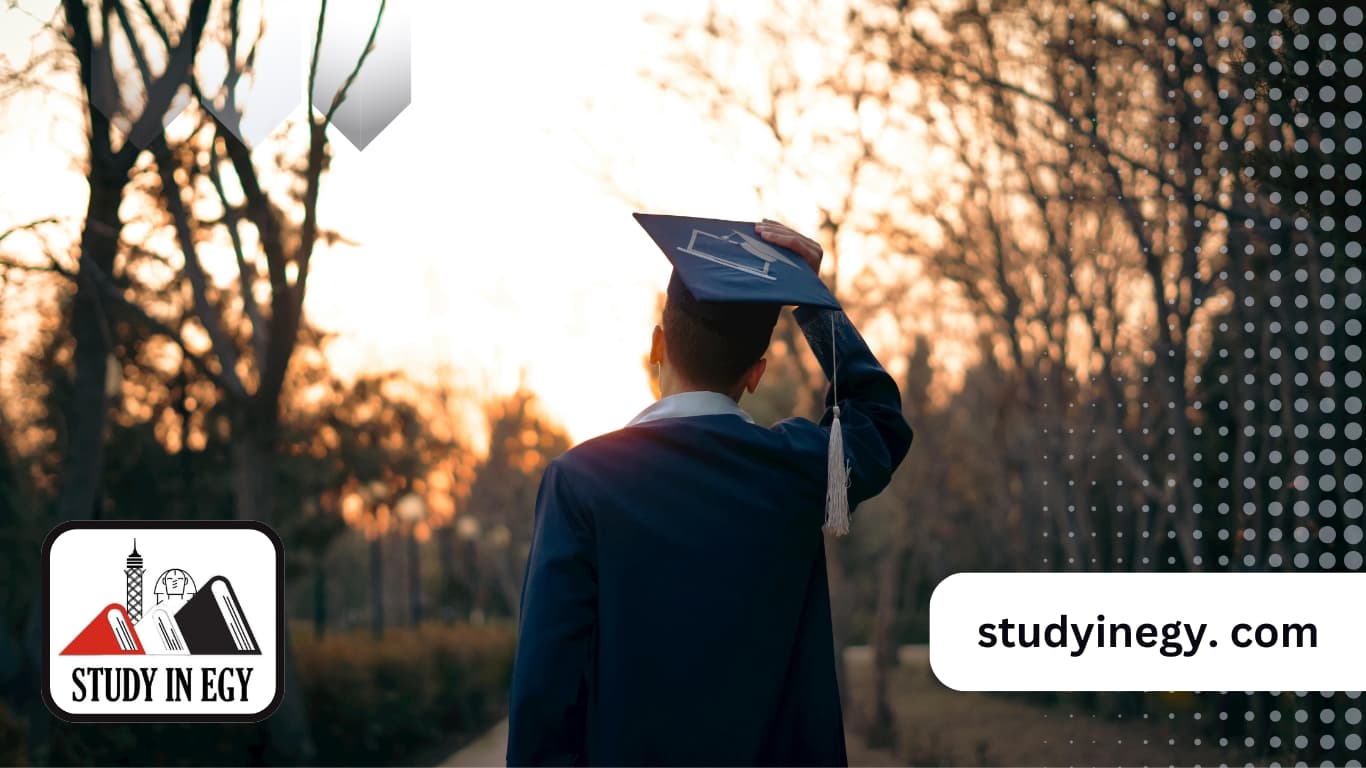 الدراسات العليا جامعة المنصورة كلية الهندسة