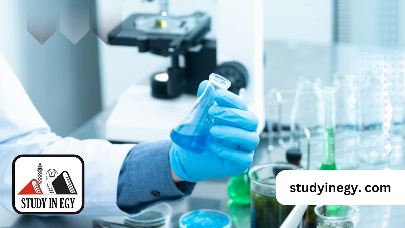 الهندسة الكيميائية في مصر