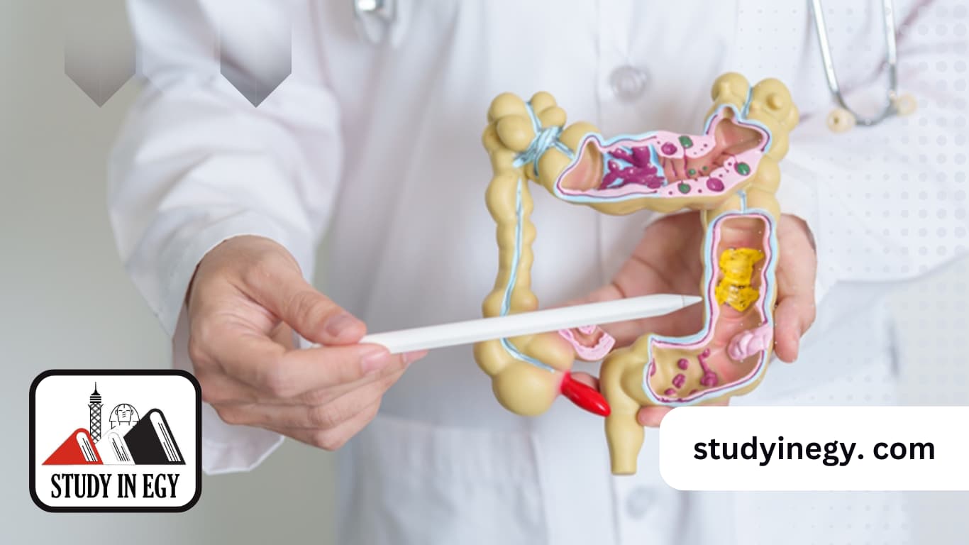 طب المناطق الحارة والجهاز الهضمي