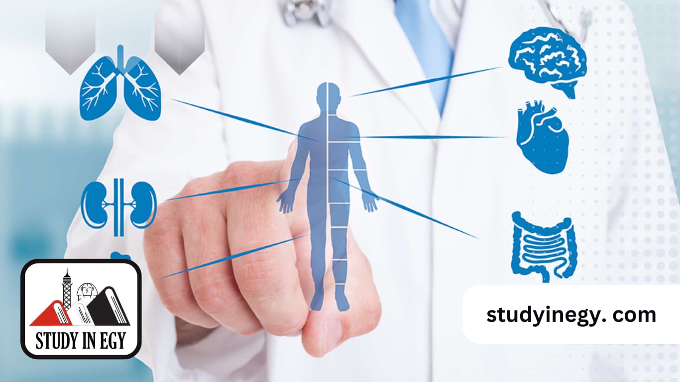 طب مانشستر المنصورة