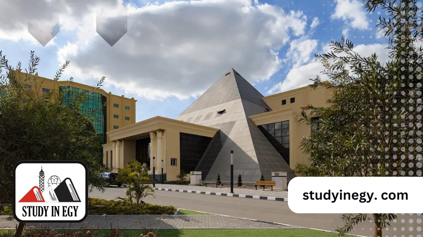 مصاريف جامعة النهضة للوافدين