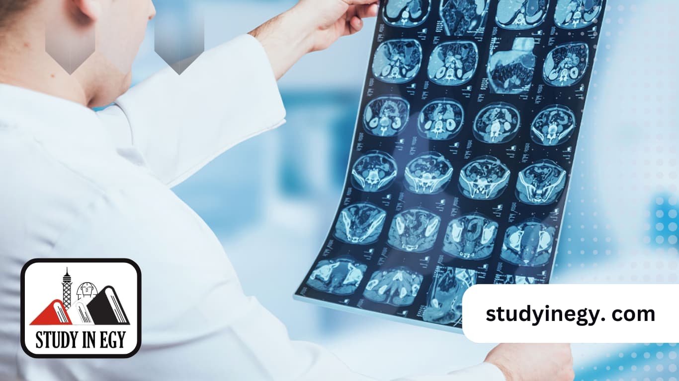 نسبة القبول في تخصص الأشعة في مصر