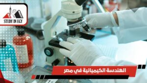 الهندسة الكيميائية في مصر