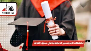 تخصصات الماجستير المطلوبة في سوق العمل