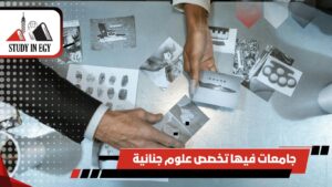 جامعات فيها تخصص علوم جنائية