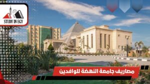 مصاريف جامعة النهضة للوافدين