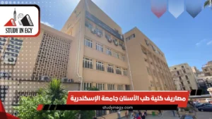 مصاريف كلية طب الأسنان جامعة الإسكندرية