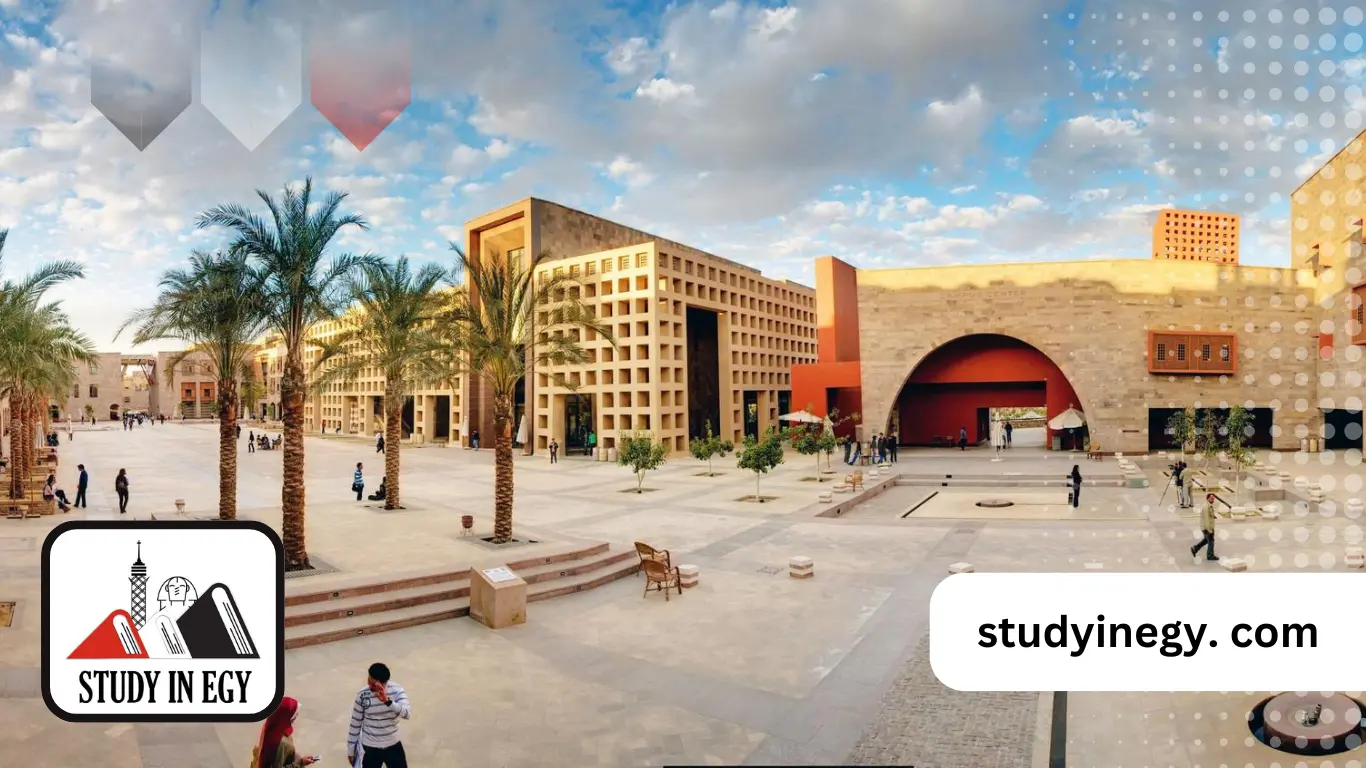 الجامعات المصرية المعتمدة في الإمارات